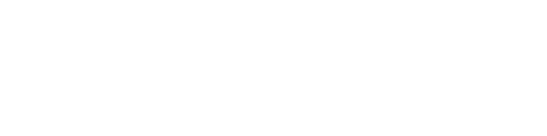 LOGO-DIGISENSE-DEF-BLANC-01-2020
